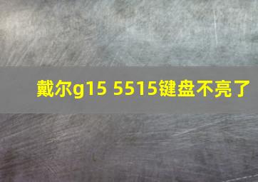 戴尔g15 5515键盘不亮了